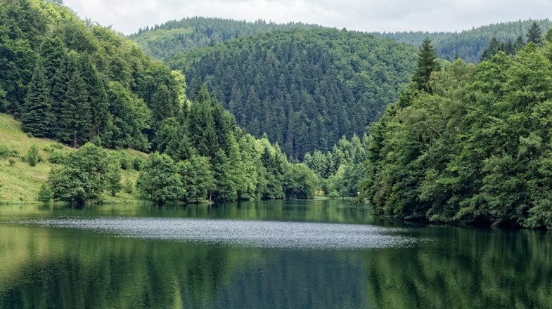 Rennsteig is a 700 year old hiking trail in Germany