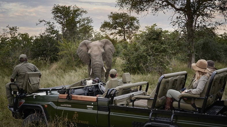 South Africa is already acclaimed for safaris but a luxurious safari in South Africa is the crème de la crème of safari opportunities.