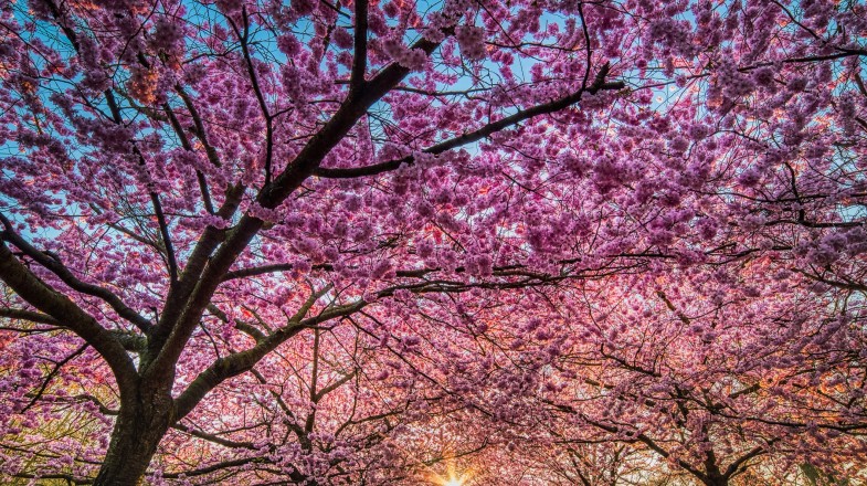 Denmark in May: Weather, Tips and More!