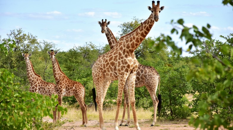 South Africa in December: Weather, Tips & Beach Fun
