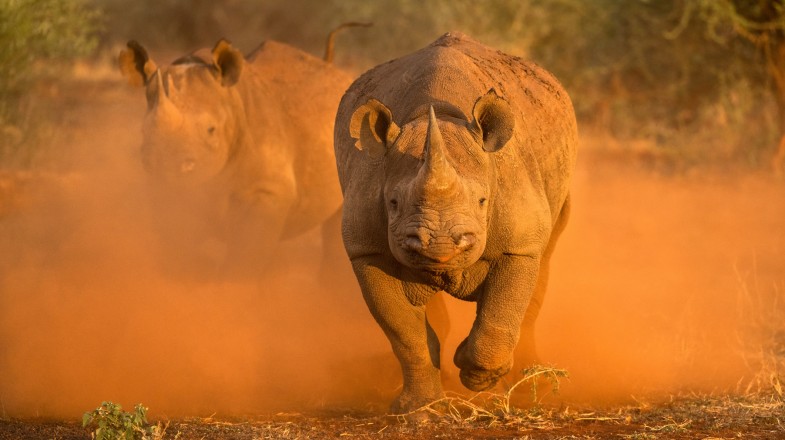 South Africa in May: Weather, Tips & Surfing