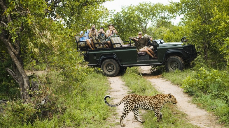South Africa Safari Parks