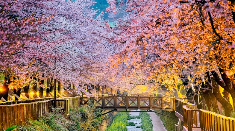 South Korea in April: Weather, Cycling and More!