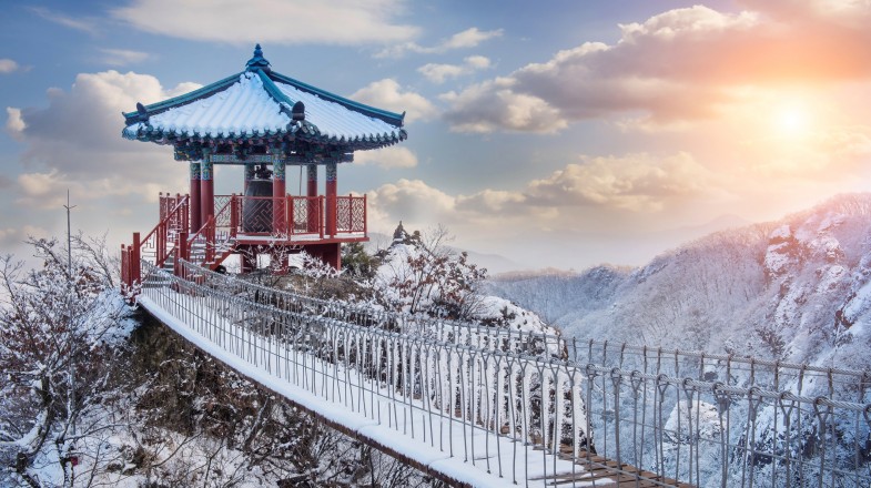 South Korea in January: Weather, Winter Sports and More!