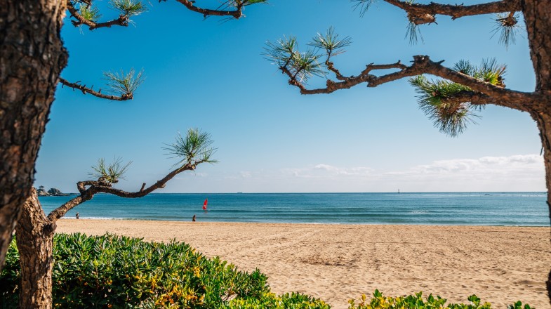 South Korea in July: Weather, Beaches and More