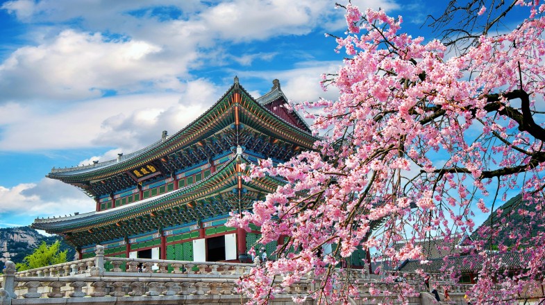 Great South Korea Itineraries: How Many Days to Spend?