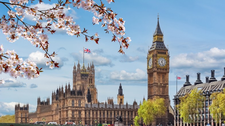 Spring blooms in Big Ben, as seen on a trip to England in March.