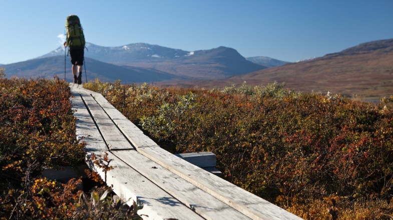 Sweden in July: Weather, Outdoor Activities and More!