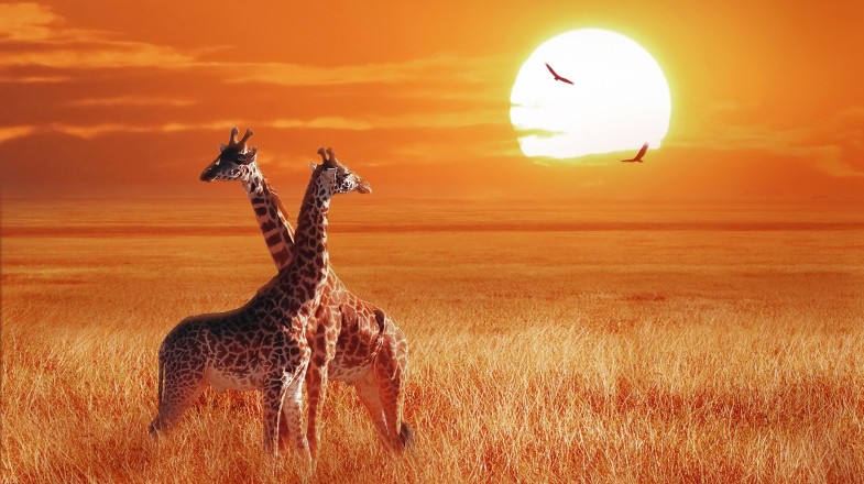 Tanzania in June: Weather, Tips & Beach Fun