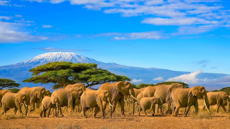 Tanzania in October: Perfect Weather, Outdoor Activities and Tips