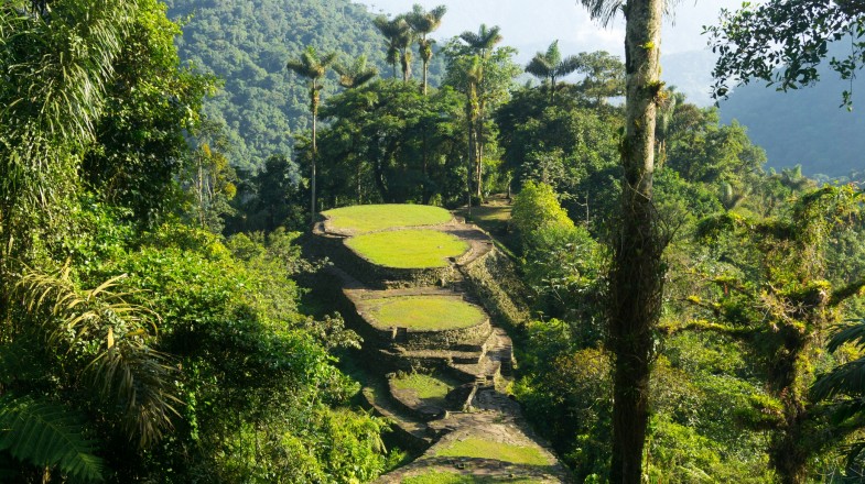 The Lost City Trek is one of the best treks in Colombia
