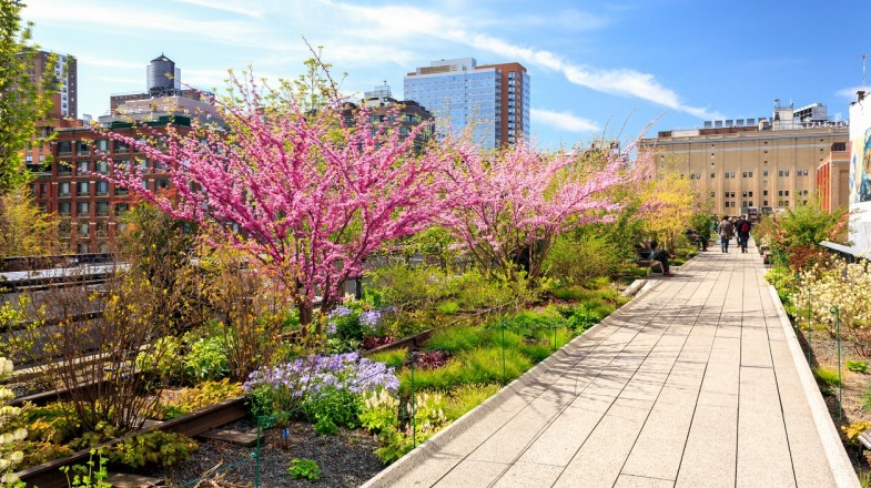 Top 17 Free Things to Do in New York