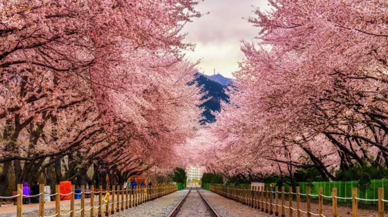 Things To Do in South Korea