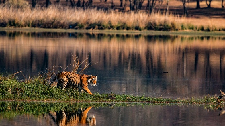 India in November: Weather, Travel Tips & More