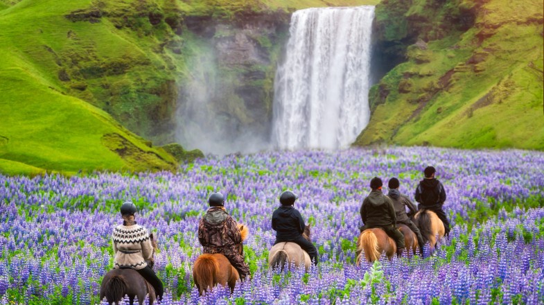 Iceland in May: Spring Weather, Scenery and More!