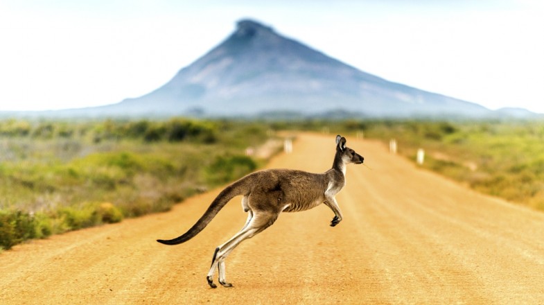 Planning a trip to Australia can be easy if you follow these guidelines