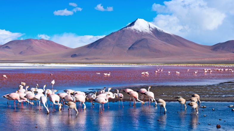 Tours and Holidays in Bolivia