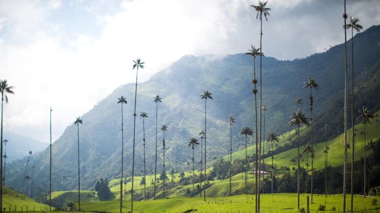 Winter in Colombia: Weather and Destinations to Visit