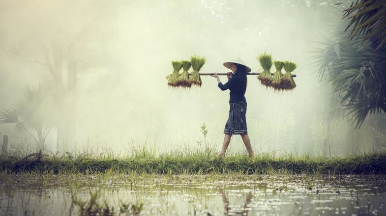 6. Vietnam
