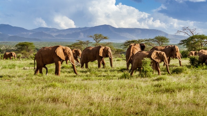 Winter in South Africa: Top 5 Destinations
