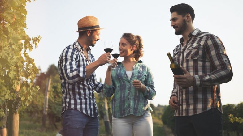 Top 5 Chilean Wine Regions and Wine Tasting Tours
