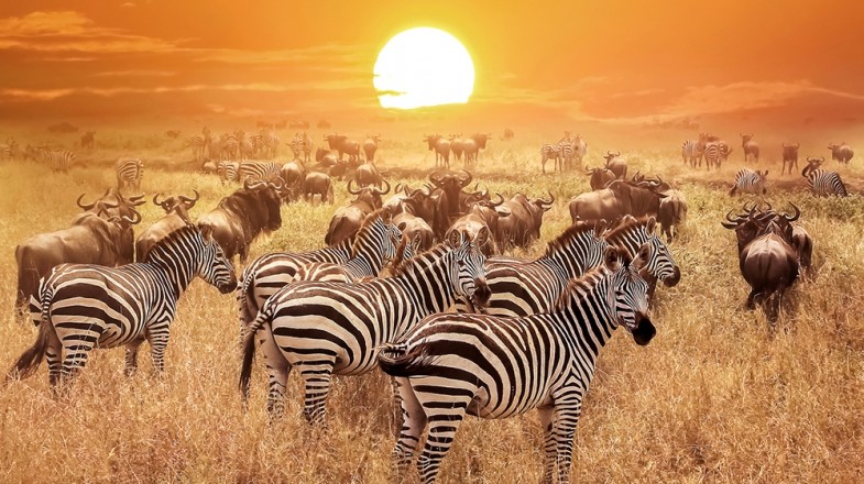 6 Great Holiday Destinations in Africa
