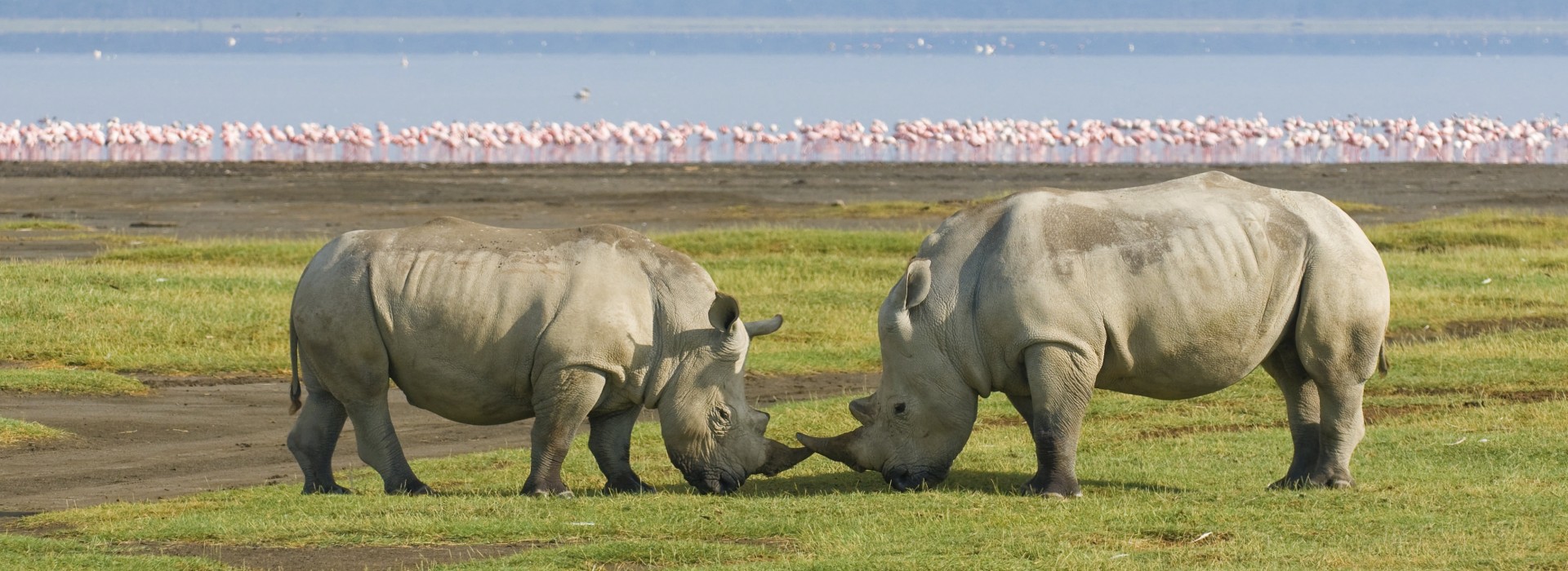 10 Lake Nakuru National Park