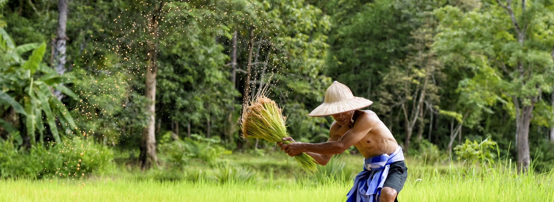 10 Best South East Asia January 2024 Tours and Trip packages