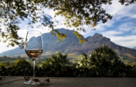 Sip Wine in Cape Town