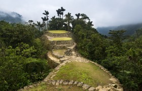 Dive into Medellin