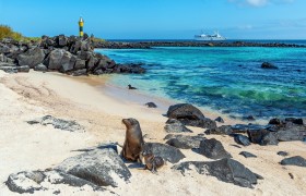 Wildlife-watch in the Galapagos Islands