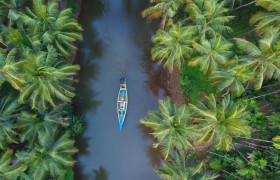 Embark on an Unforgettable Adventure in Kerala