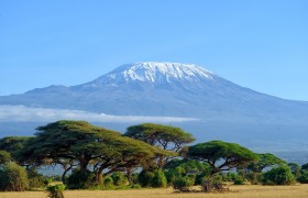 Take in The Beauty of Mount Kilimanjaro