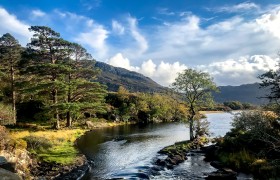 Explore National Parks in Killarney