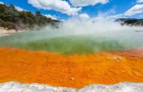 Relax in a hot spring in Rotorua
