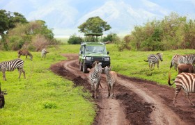 Explore the Tanzania Safari Parks