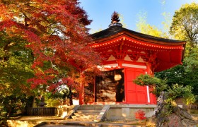 Embark on a Rich Cultural Journey of Kyoto