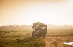 Go on a Safari in Yala National Park