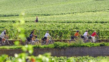 burgundy bike tour