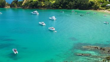 Jewels of the Bay Superior