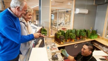 New Zealand Uncovered