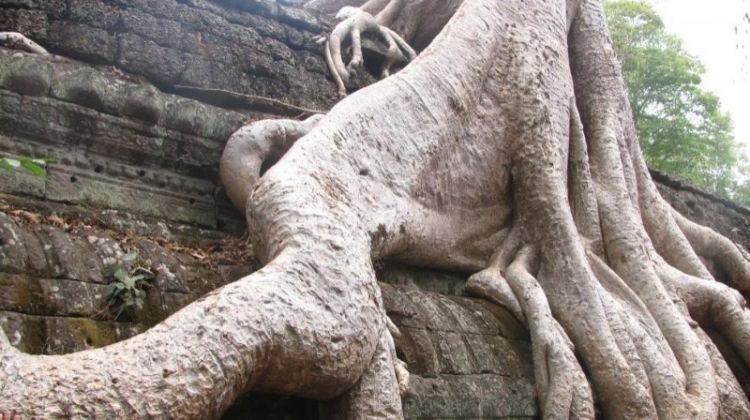 Angkor Wat Adventure 5d4n Siem Reap Phnom Penh - 