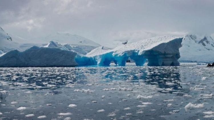 Antarctica Classic By G Adventures Bookmundi