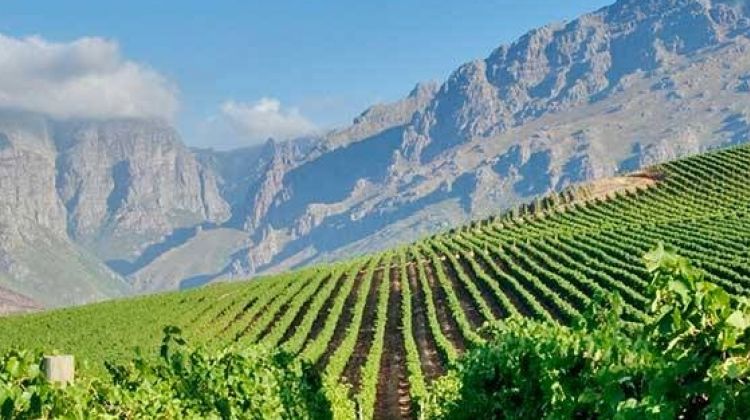 winelands