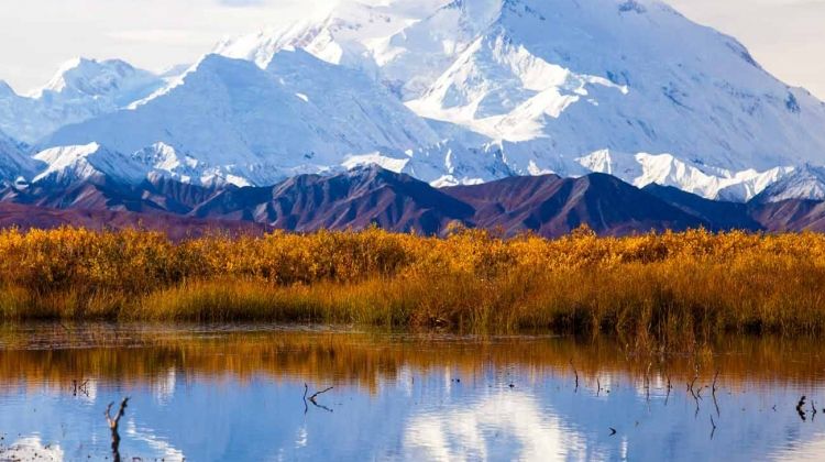 Alaska Credit Card Login >> Majestic Alaska Summer 2018 by Trafalgar | Bookmundi Alaska Credit Card Login >> Majestic Alaska Summer 2018 by Trafalgar | Bookmundi