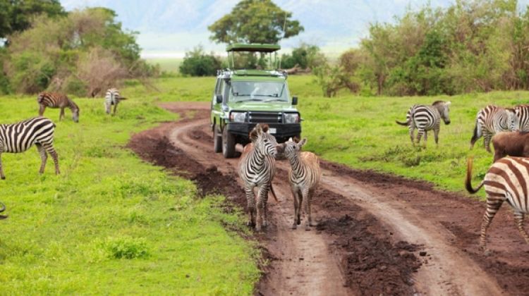 spectacular-11-day-safari-with-maasai-to
