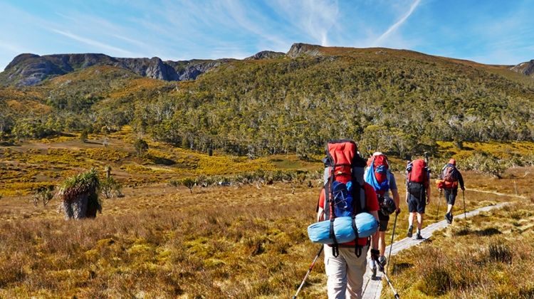 cradle mountain track